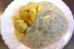 kopr