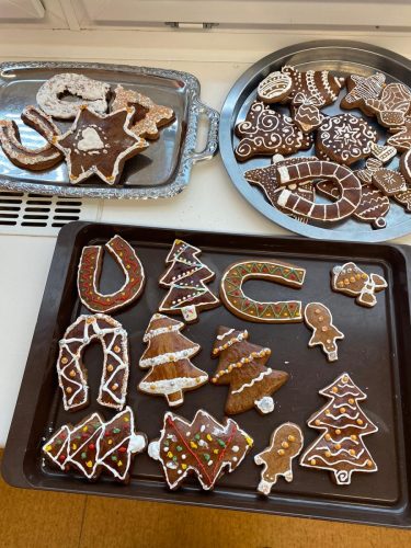 WhatsApp-Image-2025-11-25-at-13.12.37