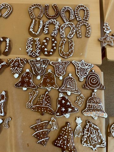 WhatsApp-Image-2025-11-25-at-13.12.38