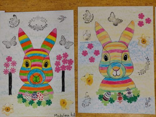 WhatsApp-Image-2026-03-23-at-15.46.19